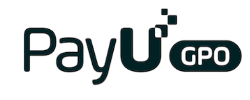 PayU, Rapyd partner with seemore data to cut sknowflake data cost success story